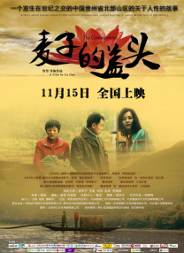 杜比视界